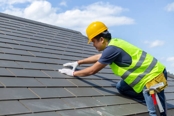 Best Roof Gutter Cleaning  in Pomona Park, FL