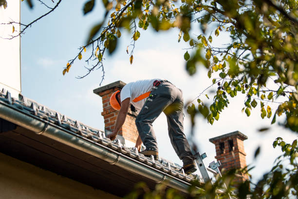 Best Flat Roof Repair Services  in Pomona Park, FL