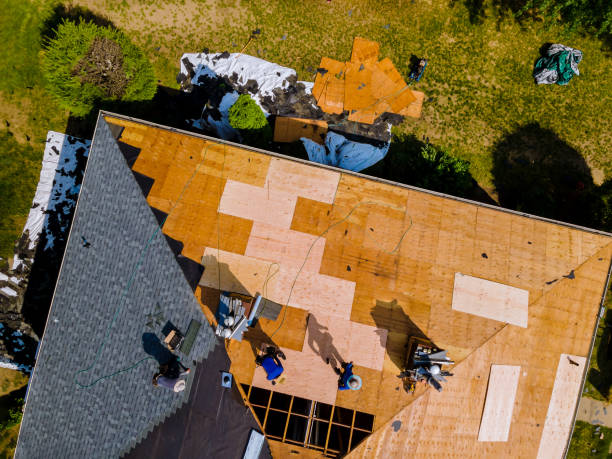 Best Storm Damage Roof Repair  in Pomona Park, FL