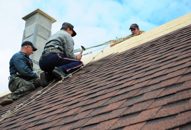Roof Gutter Cleaning in Pomona Park, FL